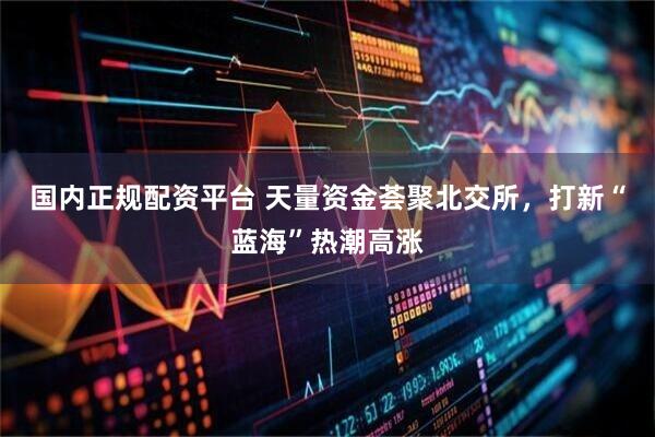 国内正规配资平台 天量资金荟聚北交所，打新“蓝海”热潮高涨